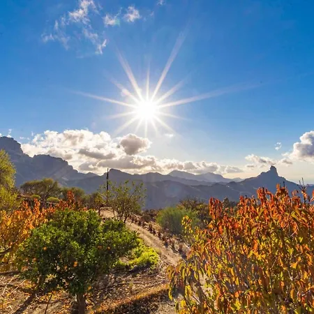 La Isa Tejeda (Gran Canaria)